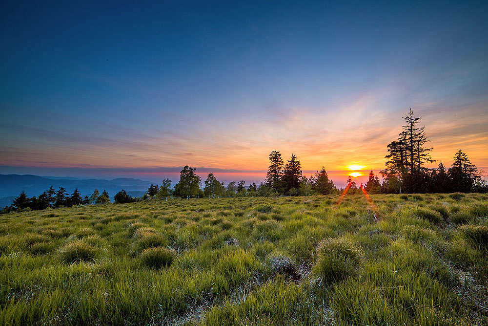 Renchtal & Oberkirch Gartensauna umgebung 3